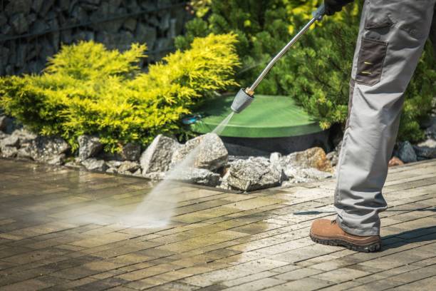Best Solar Panel Cleaning  in Shirley, NY